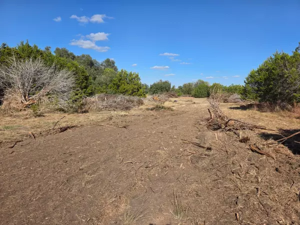 Briggs, TX 78608,TBD Avila Ln