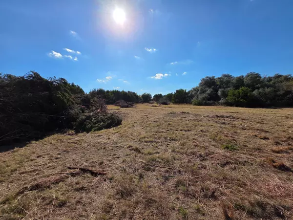 Briggs, TX 78608,TBD Avila Ln