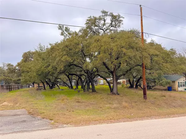 Canyon Lake, TX 78133,TBD Irene DR #Lot 590