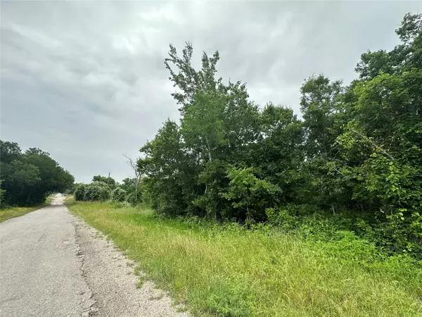 Lockhart, TX 78644,TBD Old McMahan RD