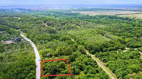 Bastrop, TX 78602,196 Diamond Head DR
