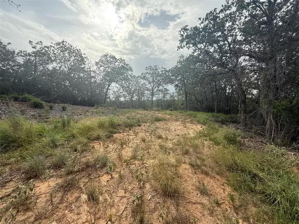 Bastrop, TX 78602,108 Kalihi CT