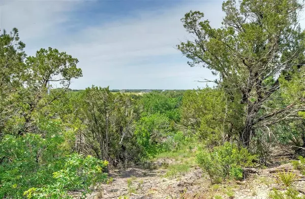 Burnet, TX 78611,Lot 24 Rain Lily CT