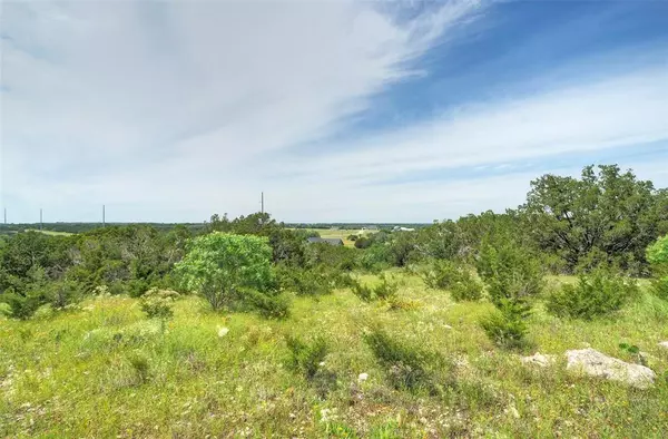 Burnet, TX 78611,Lot 24 Rain Lily CT