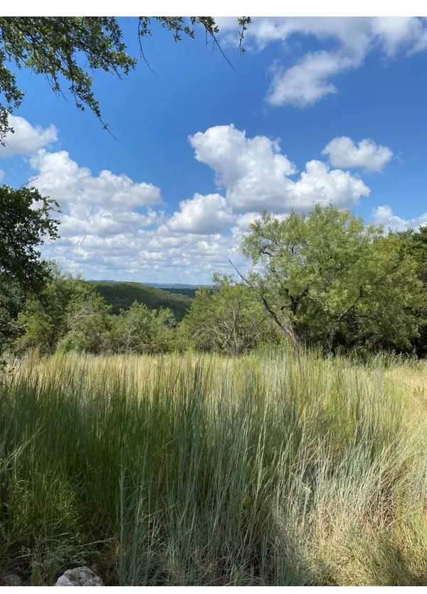 329 Kendall ST, Spicewood, TX 78669