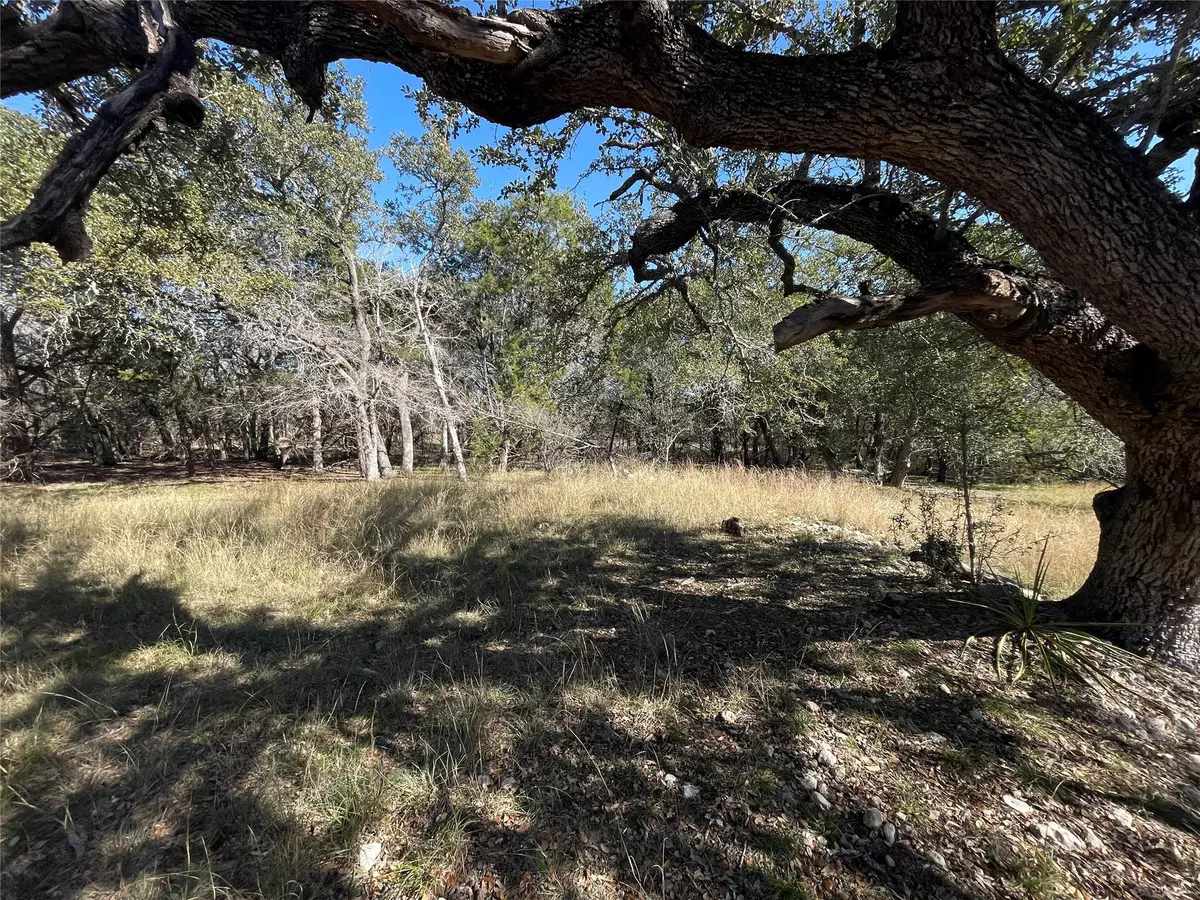 Wimberley, TX 78676,TBD Carney LN