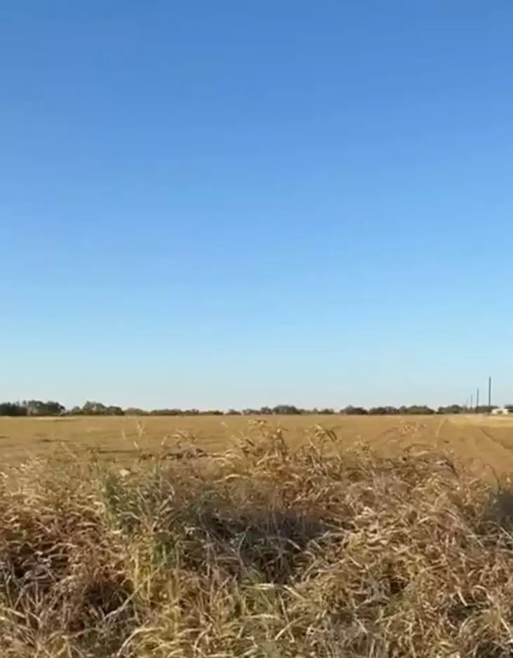 Ben Arnold, TX 76519,00 County Road 133 CTR #Lot 6