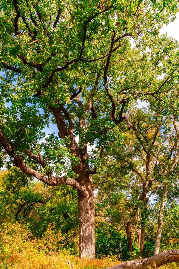 Hutto, TX 78634,159 Brushy Creek TRL