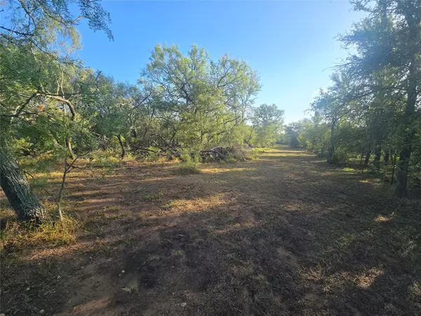 Dale, TX 78616,TBD SNEED LN