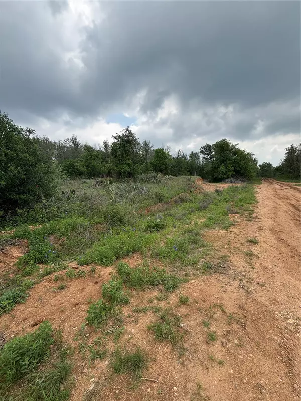 Bastrop, TX 78602,316 Kahana LN