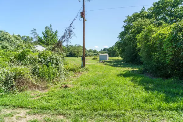 Paige, TX 78659,152 Palamino CT