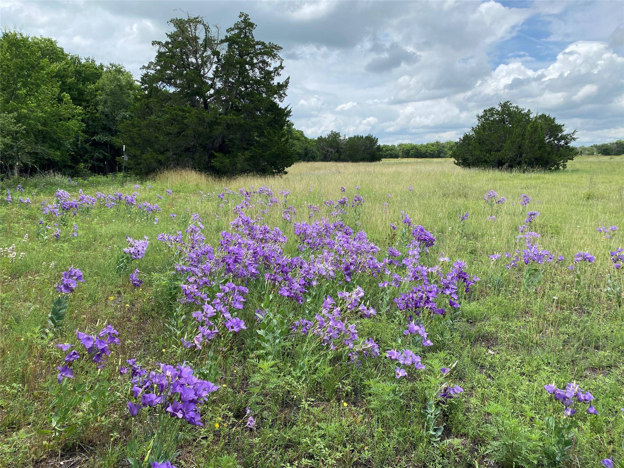 Georgetown, TX 78626,TBD County Road 156