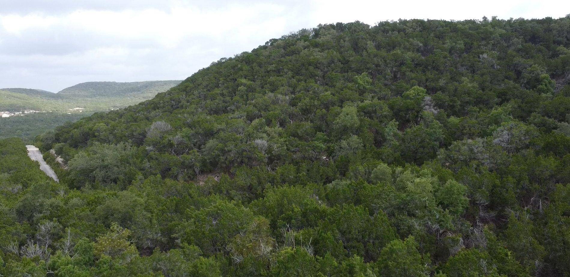 Leander, TX 78645,20603 Twilight CV
