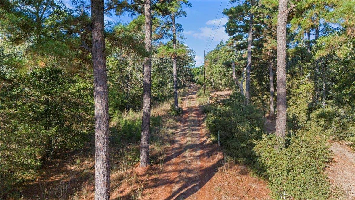 Smithville, TX 78957,360 Copeland Hill RD