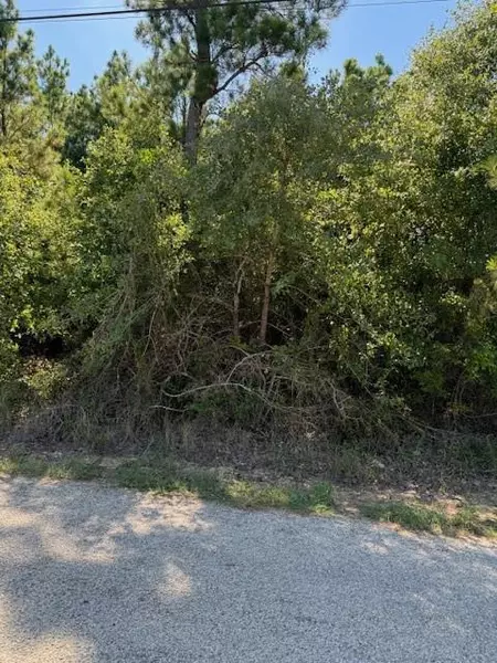 Lot 1355 N Kaupo DR, Bastrop, TX 78602