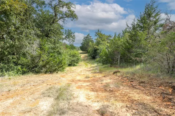 Milano, TX 76556,13 Acres TBD County Road 331