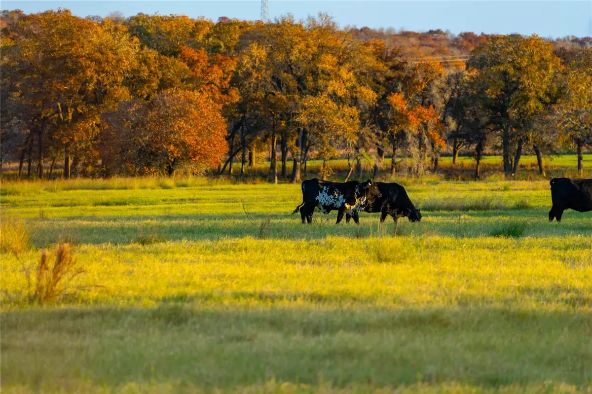 Seguin, TX 78155,TBD Tx-123