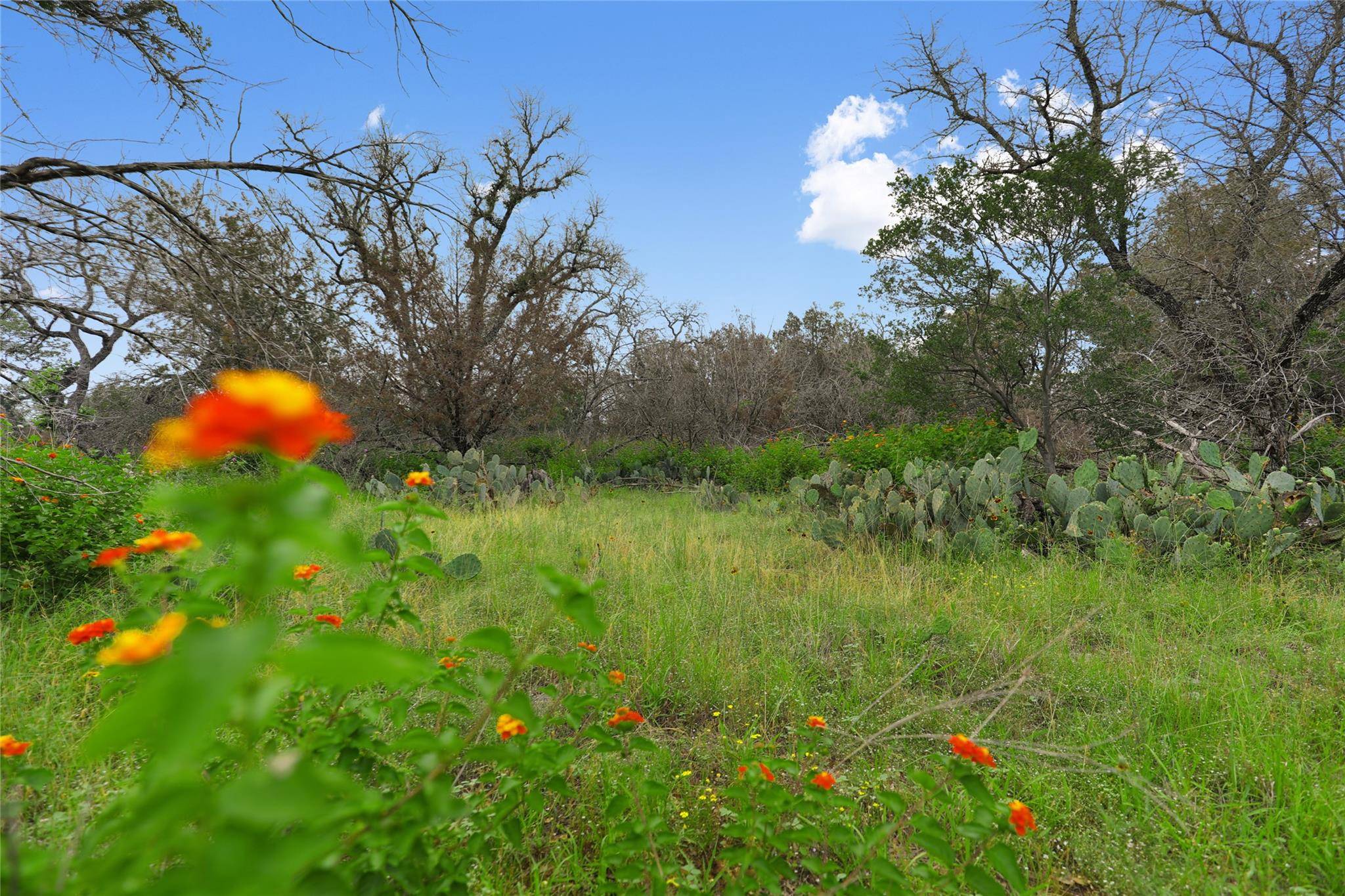 21711 Cardinal Ave, Lago Vista, TX 78645