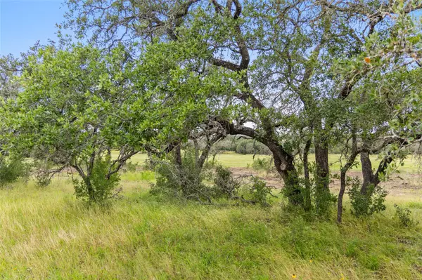 Johnson City, TX 78636,1422-1 RM 2766