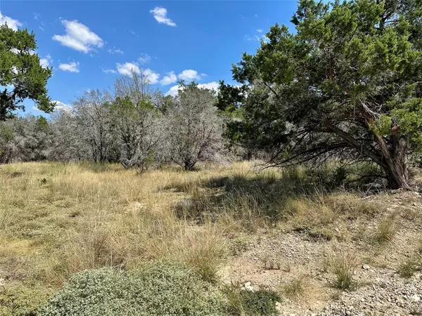 Lago Vista, TX 78645,21806 O Henry Ave