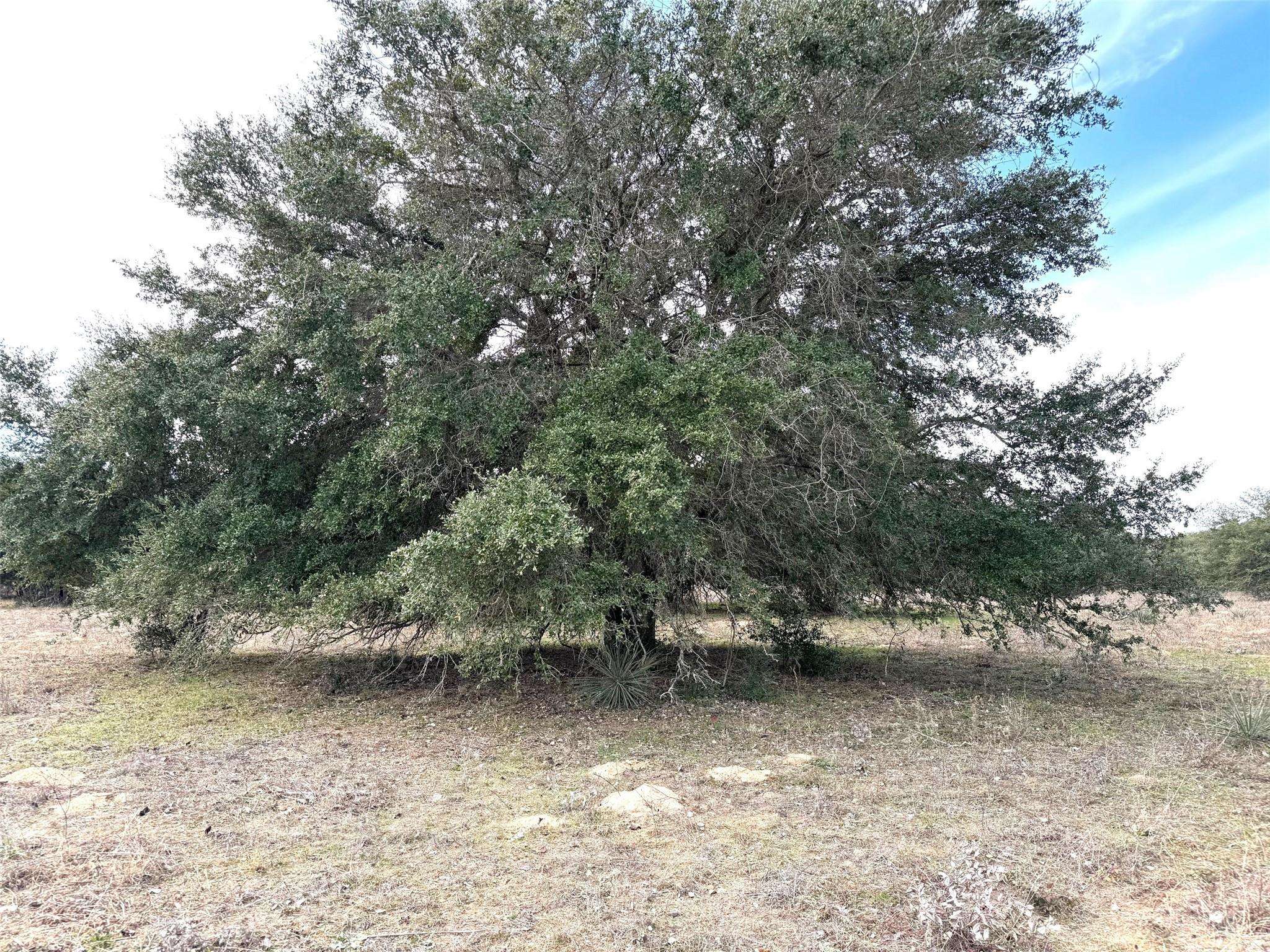 000A Buck Branch RD, Waelder, TX 78959