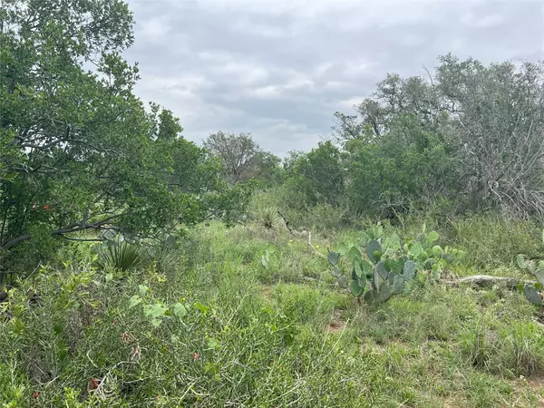 Granite Shoals, TX 78654,0 E Greencastle DR