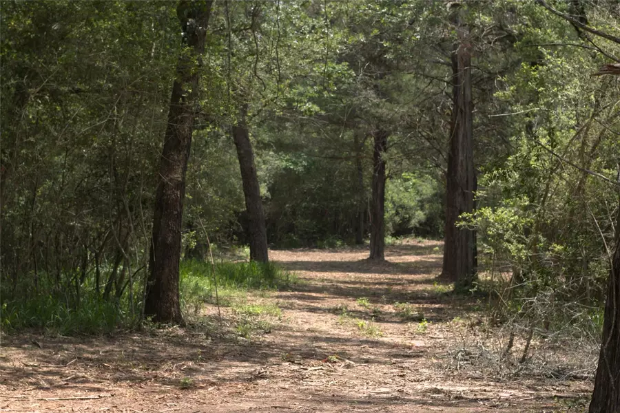 1690 County Road 413 N #TRACT 1, Lexington, TX 78947