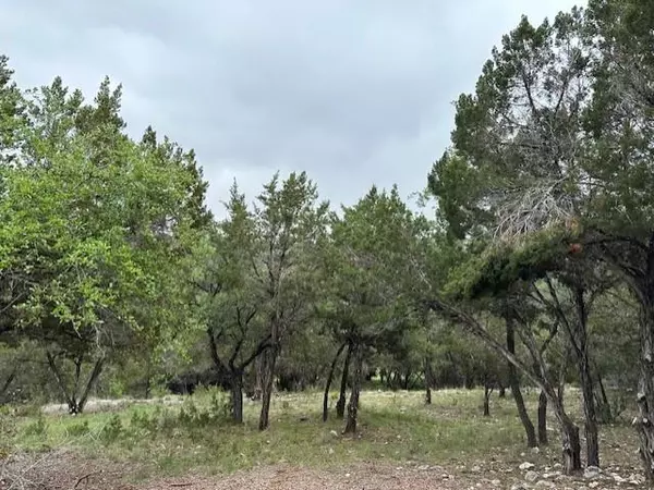 Lago Vista, TX 78645,4714 Country Club DR