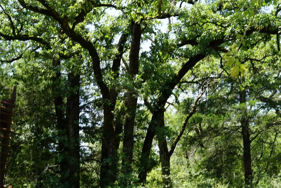 5548 County Road 322, Rockdale, TX 76567