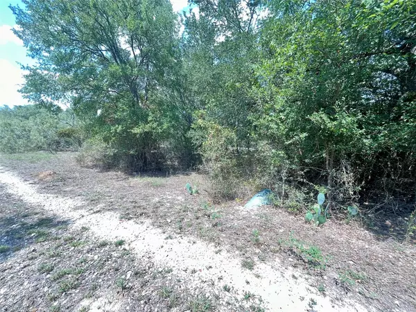 Cedar Creek, TX 78612,312 Blue Flame RD