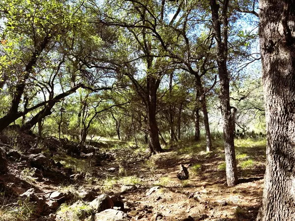 Sunrise Beach, TX 78643,TBD Lot 2 Sandy Mountain