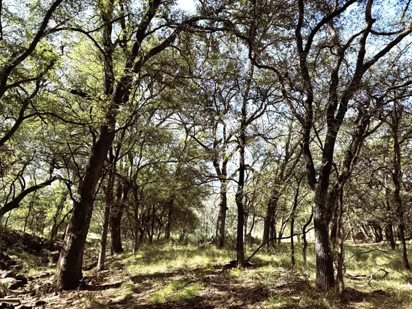 378 Sandy Mountain, Sunrise Beach, TX 78643