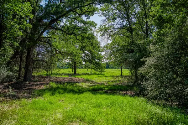 1012 County Road 438, Lexington, TX 78947