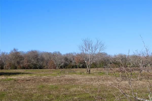 000 CR 412, Lexington, TX 78947