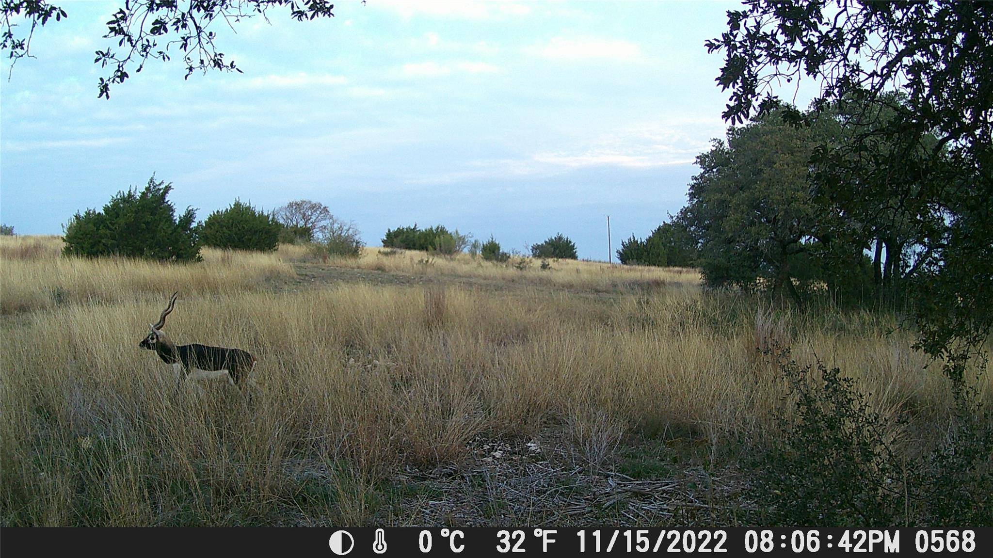 Bertram, TX 78605,Lot-82 Three Creeks DR