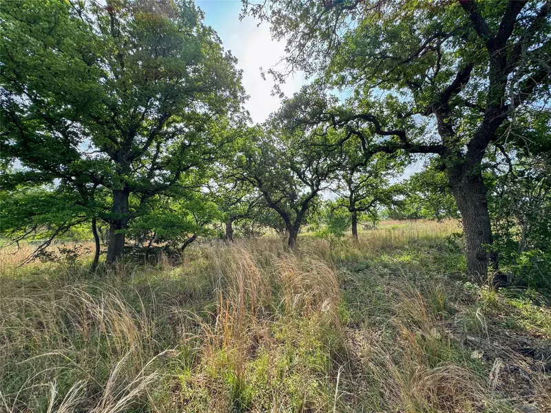 TBD Fly Gap RD, Mason, TX 76856