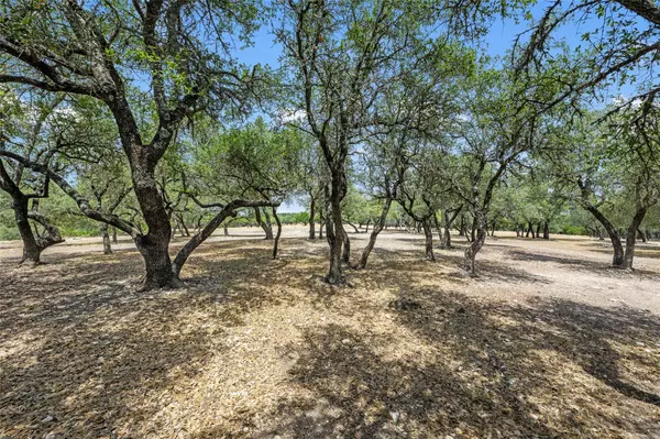 Dripping Springs, TX 78620,0000 South Oak Forest DR