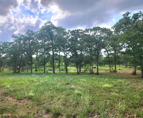 Waelder, TX 78959,2123 Woodcreek Dr DR