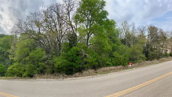 Bastrop, TX 78602,162 & 164 W Kaanapali LN