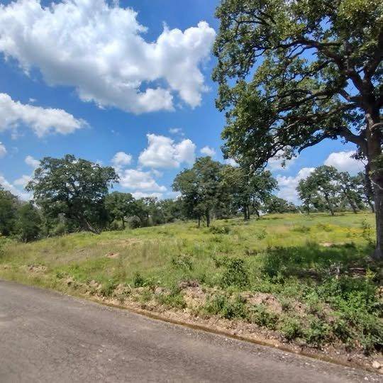 Elgin, TX 78621,208 Rolling Oak DR