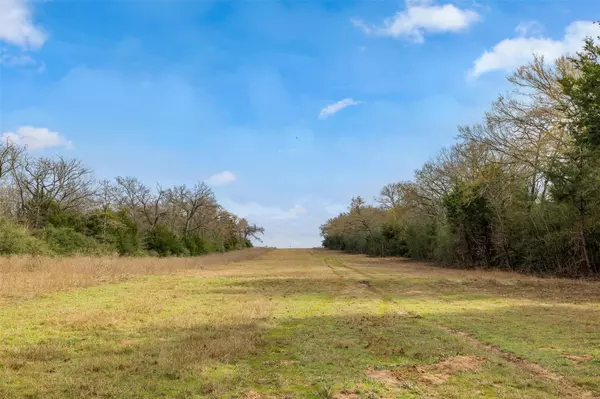 Hearne, TX 77859,000 West Henry Prairie Road