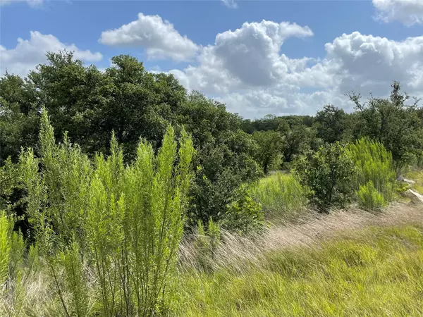 Blanco, TX 78606,0 Purple Sage TRL