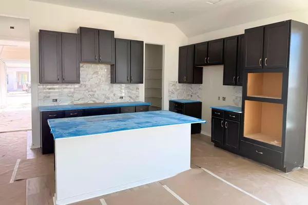 Manor, TX 78653,13608 Grassdale VW