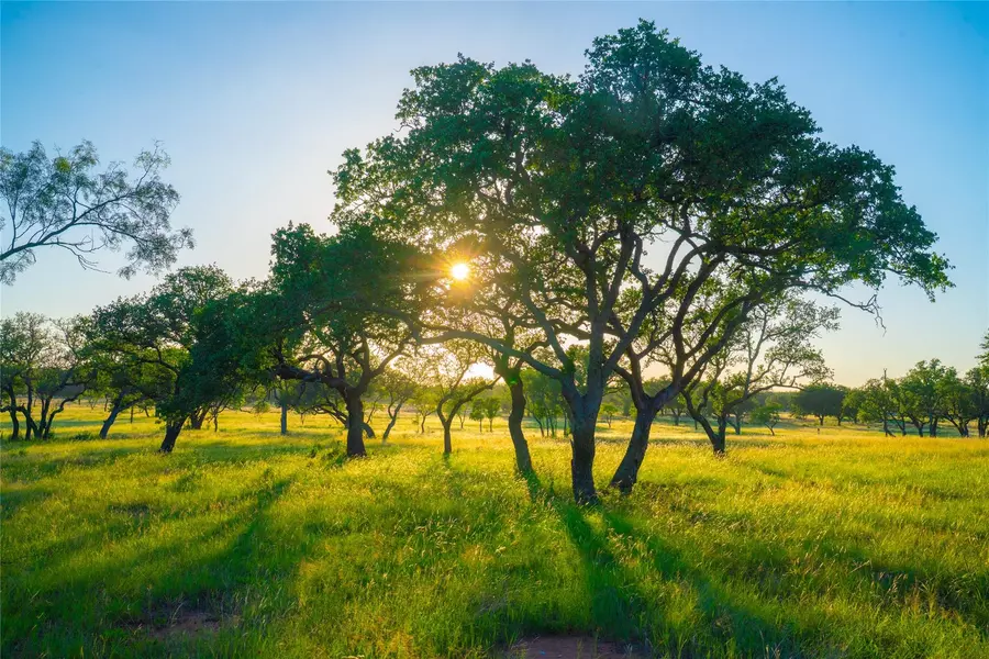 000 Rolling Oaks RNCH, Johnson City, TX 78636