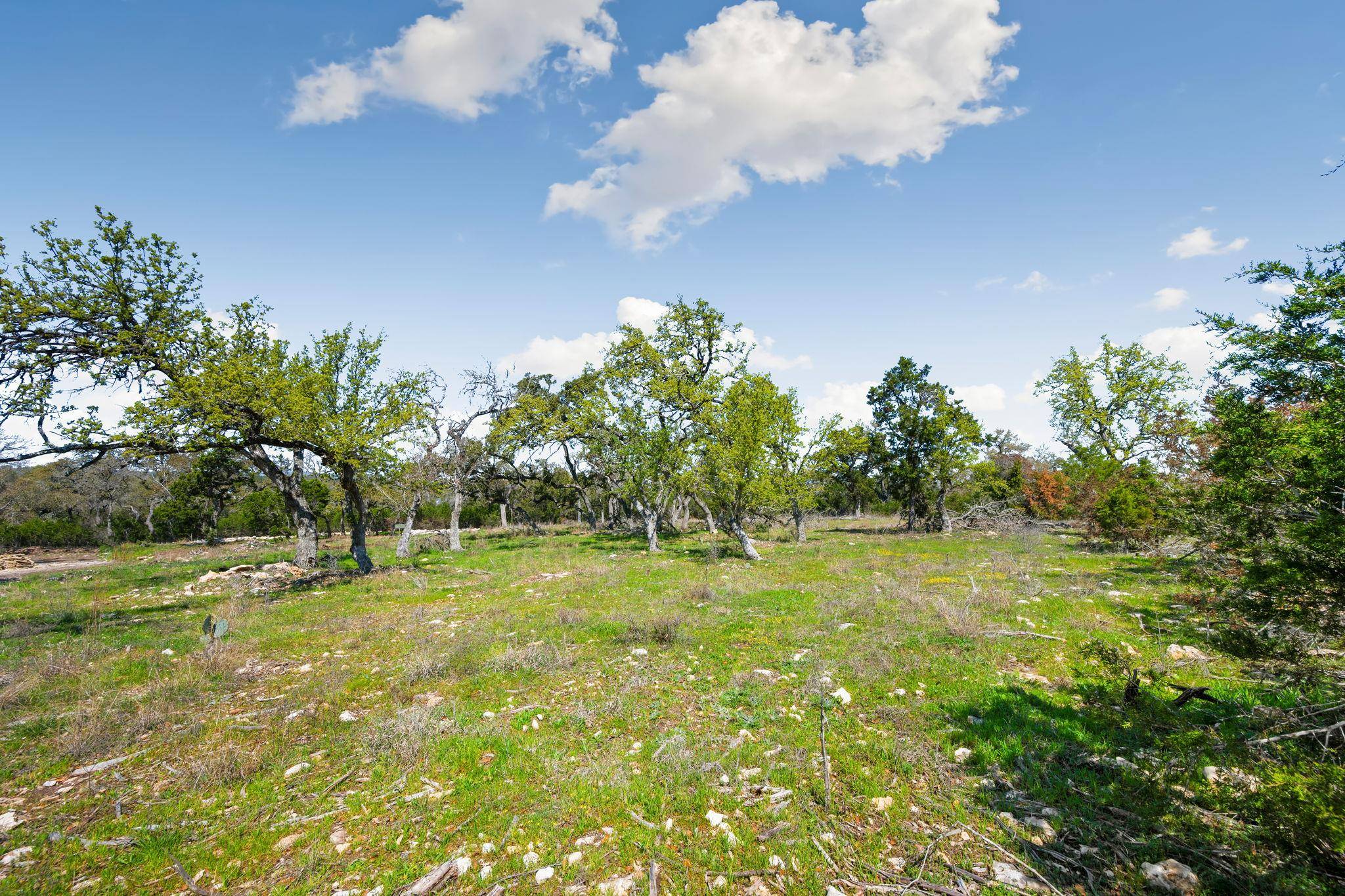 1275 Smoky LOOP, New Braunfels, TX 78132