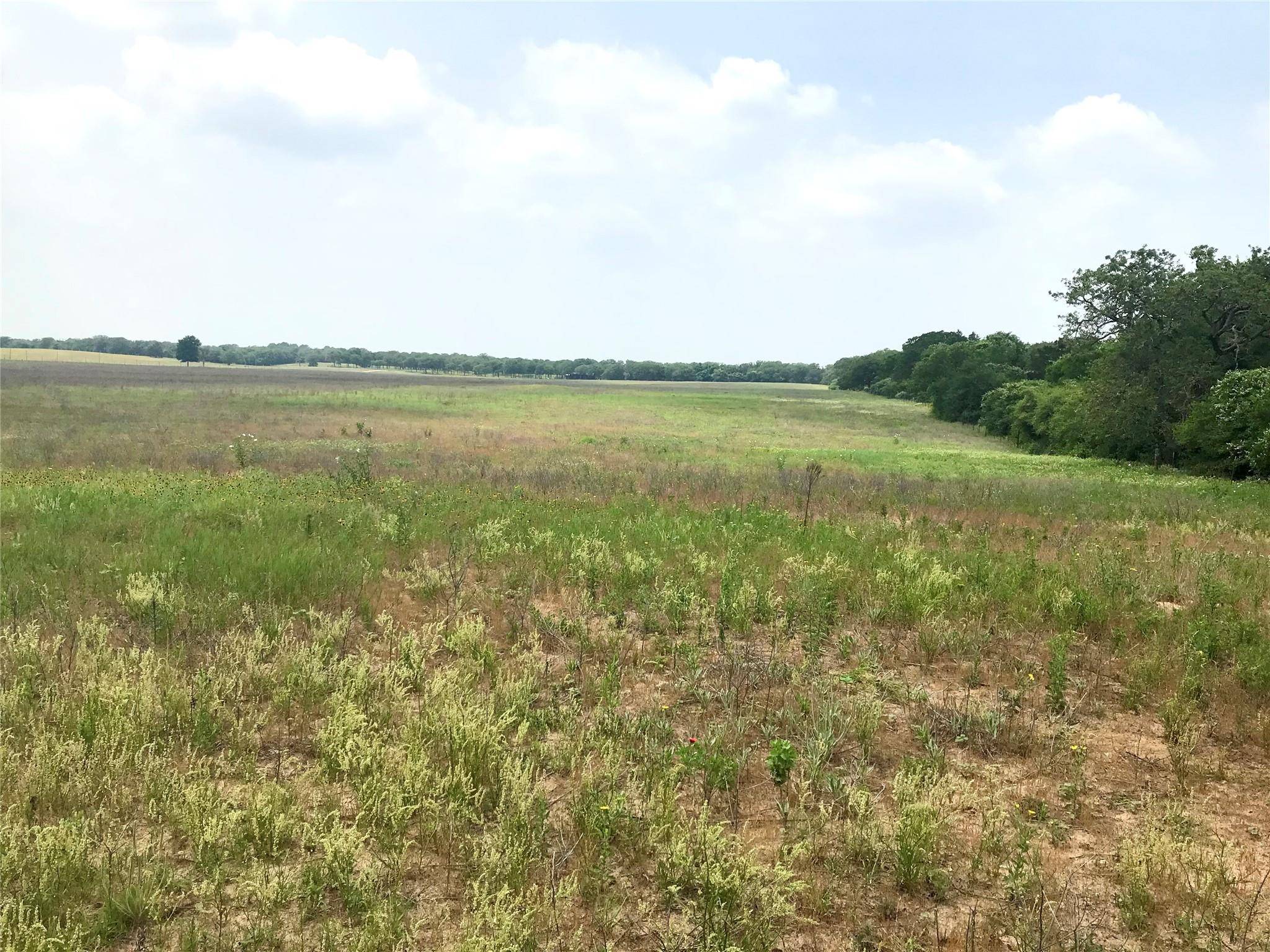 Bastrop, TX 78602,1672 Tract 2 Sayers RD