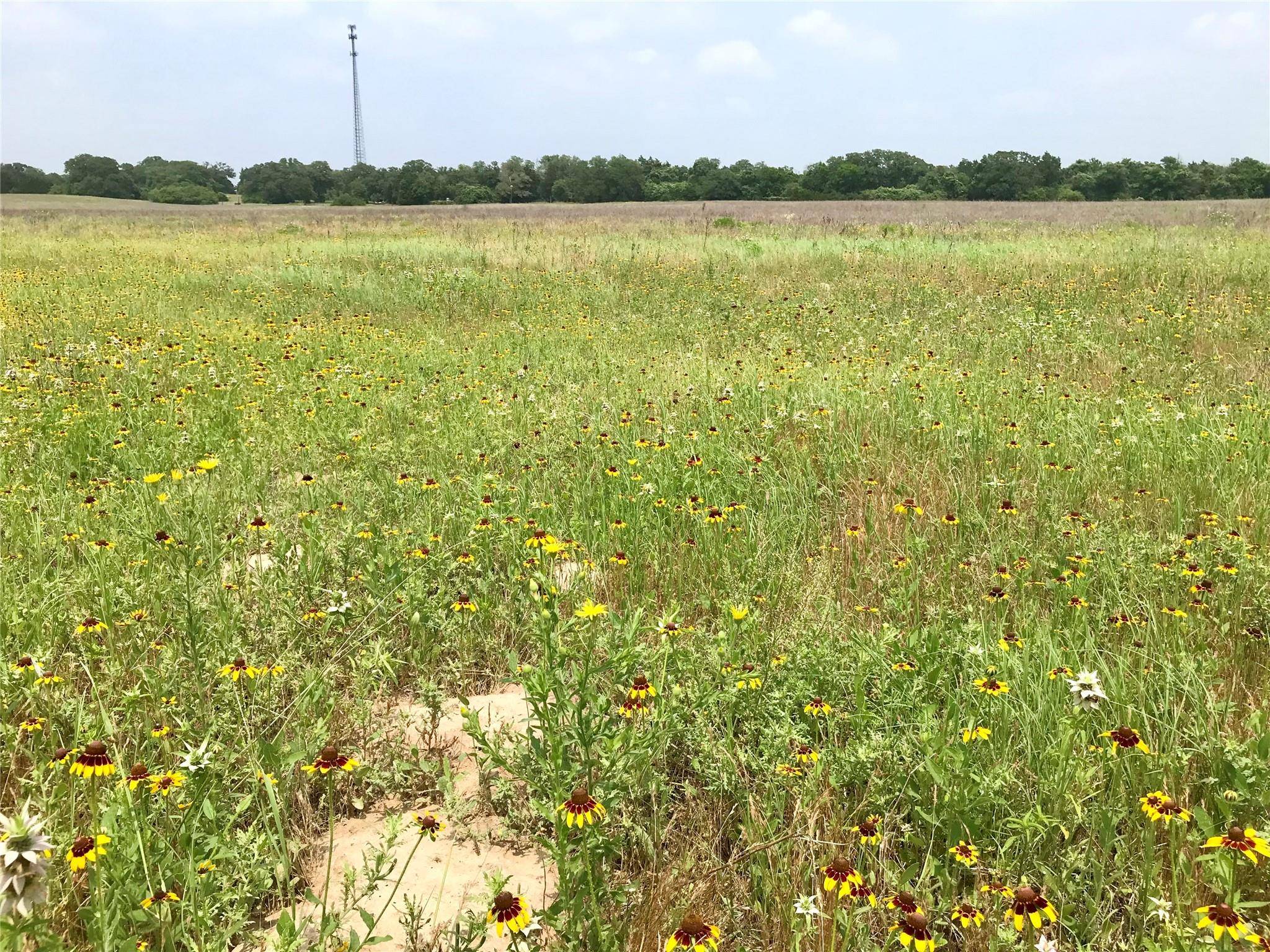 Bastrop, TX 78602,1672 Tract 2 Sayers RD
