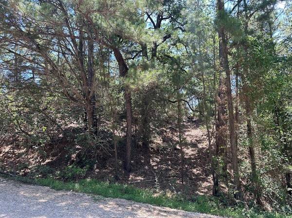 111 Molokini DR, Bastrop, TX 78602