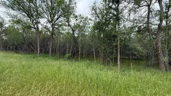 Bastrop, TX 78602,131 W Pauwela LN