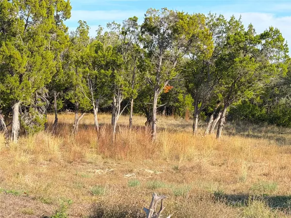 Canyon Lake, TX 78133,TBD Terra Vista CT